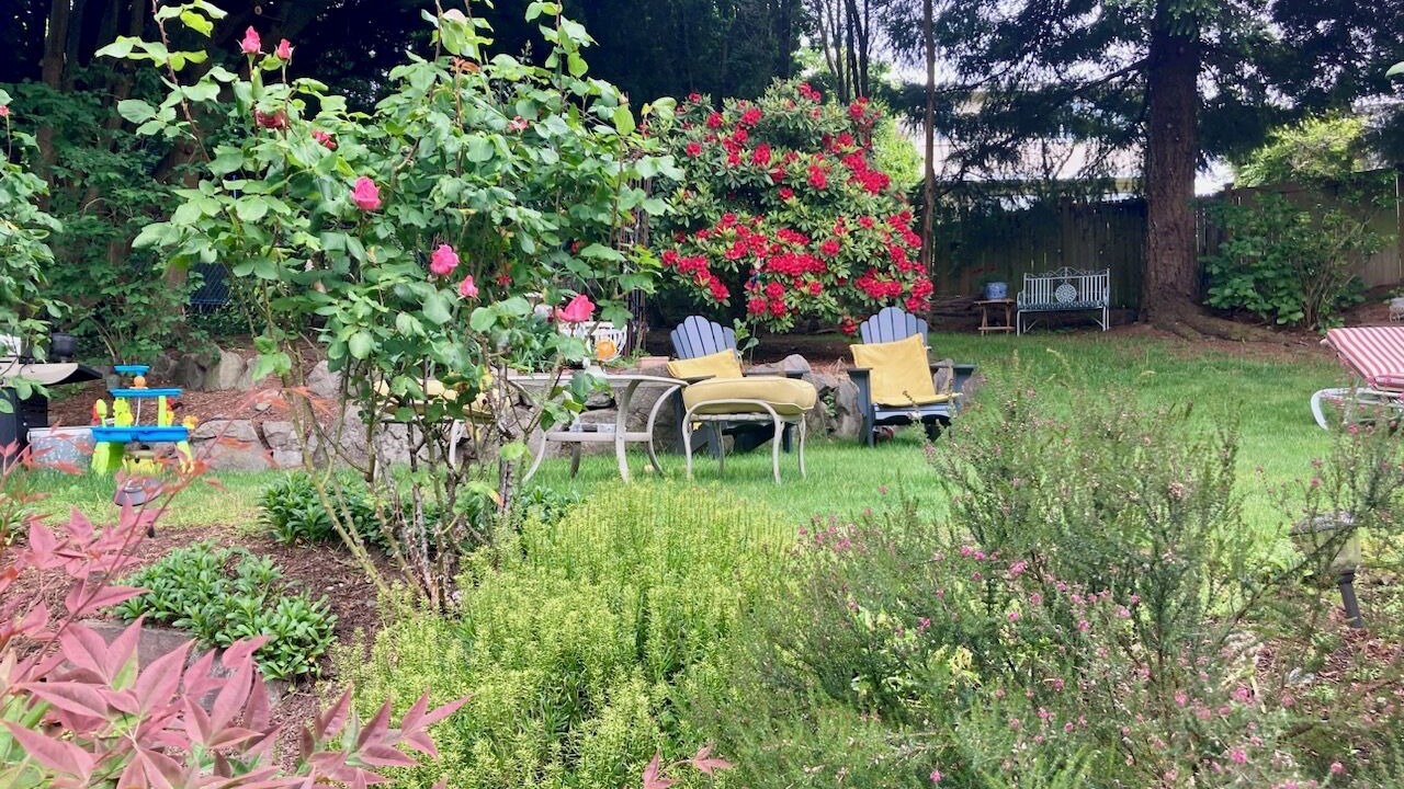 Photo of Outdoor in Inglewood-Finn Hill