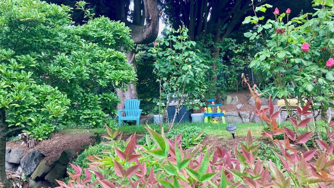 Photo of Outdoor in Inglewood-Finn Hill