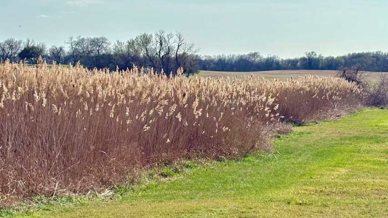 Photo of Others in Garland