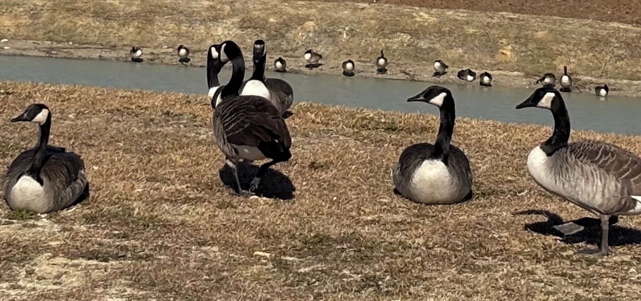 Photo of Others in Swansboro