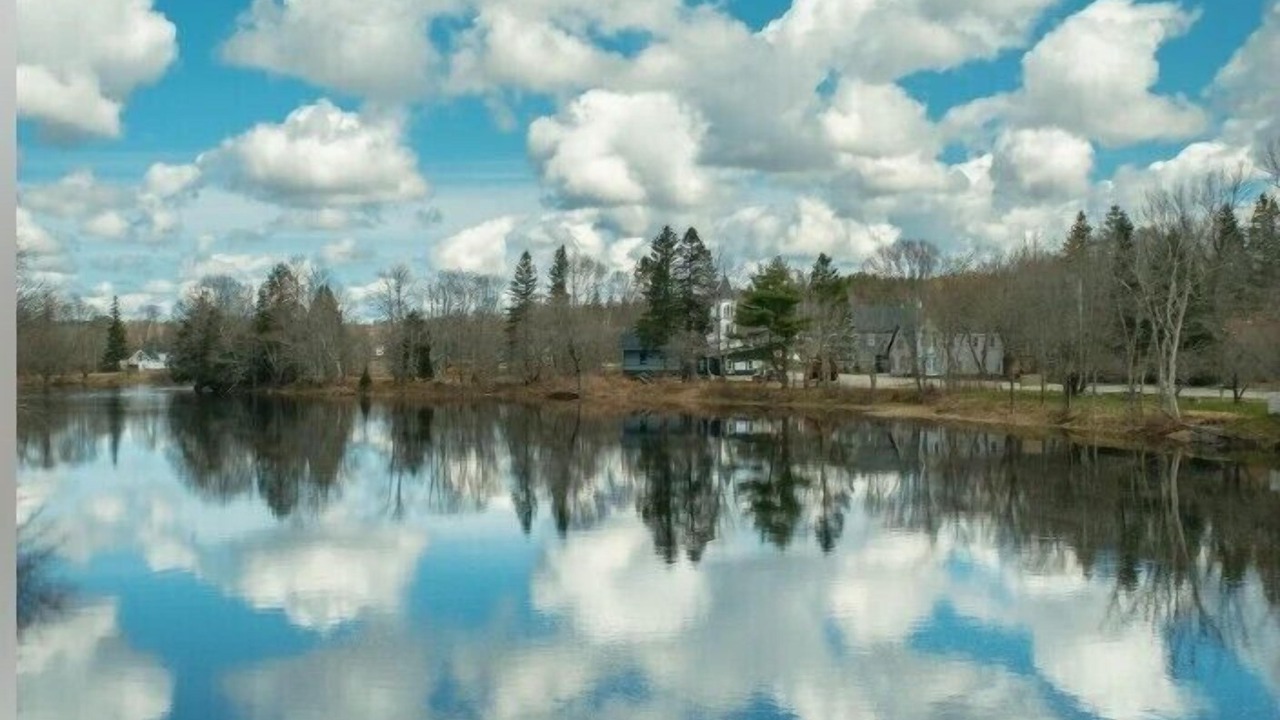 Photo of Others in Cherryfield