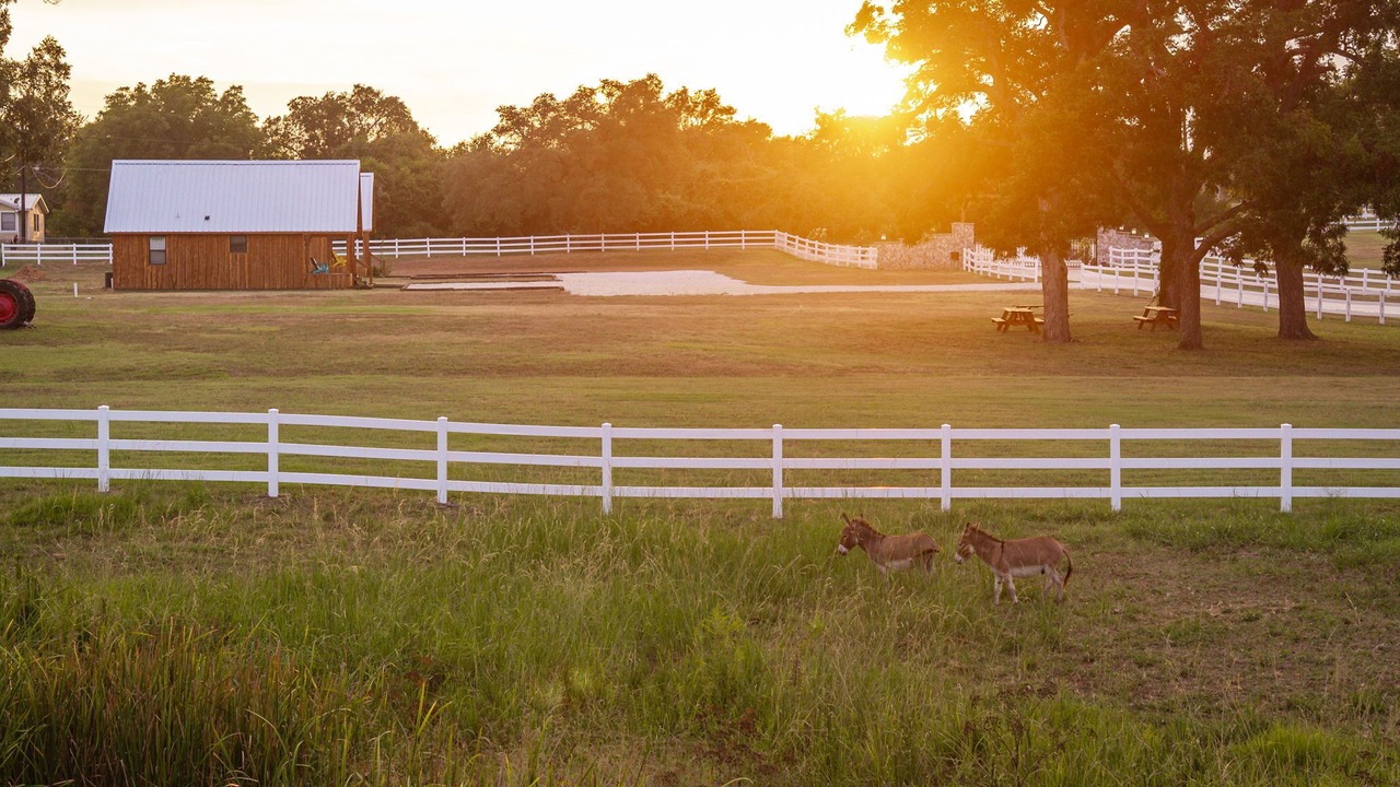 Photo of Outdoor in Dennis