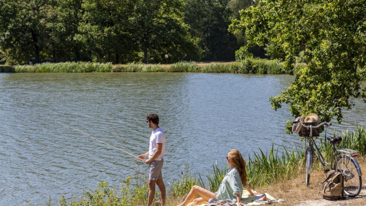 Photo of Others in Pierrefitte-sur-Sauldre