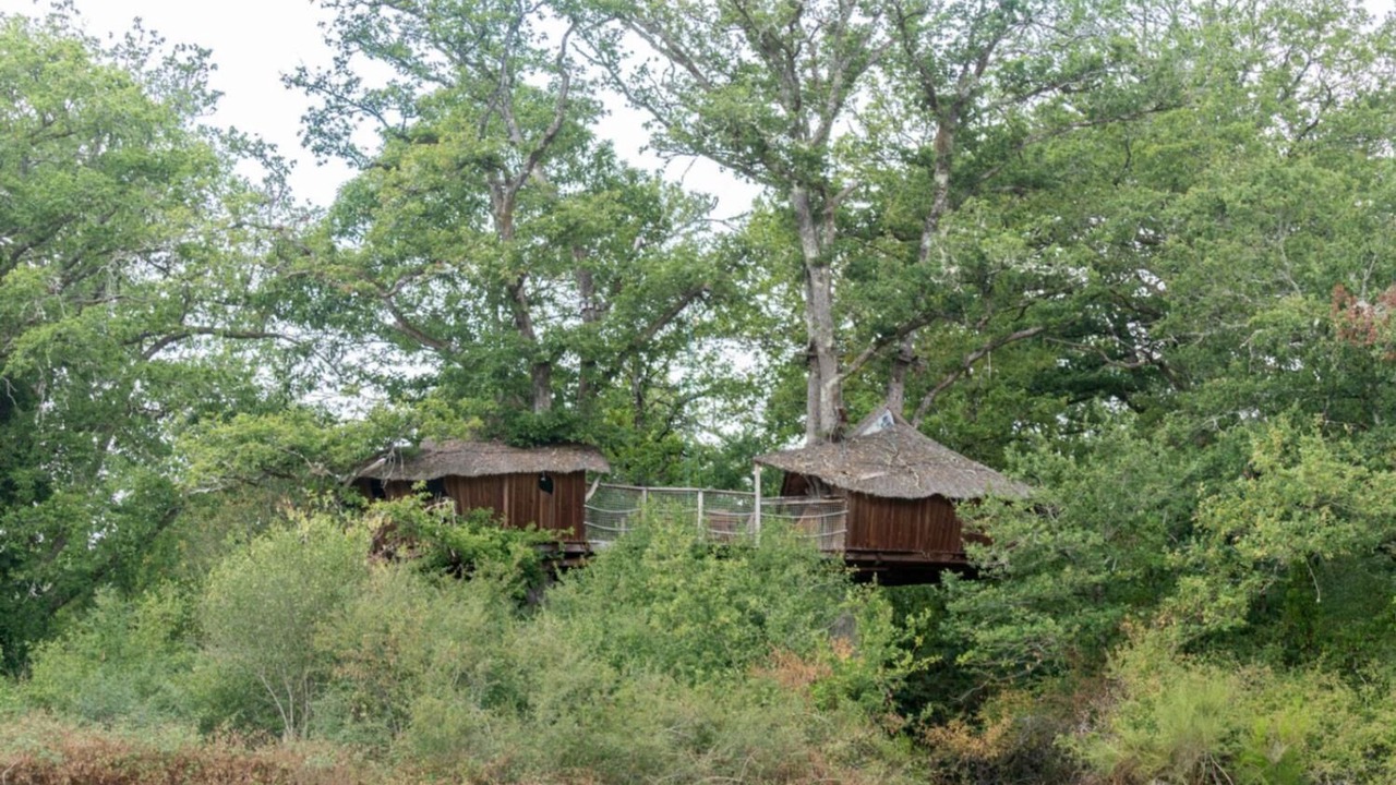 Photo of Outdoor in Pierrefitte-sur-Sauldre