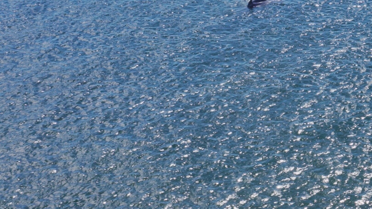 Photo of Others in Cedar Point