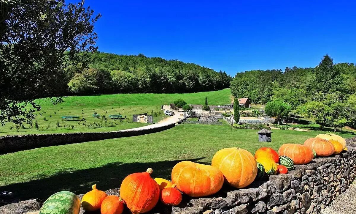 Photo of Outdoor in Saint-Amand-de-Coly