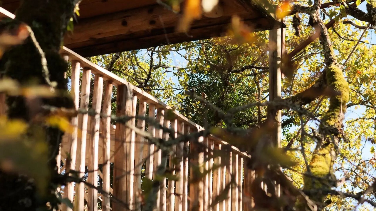 Photo of Outdoor in Saint-Amand-de-Coly