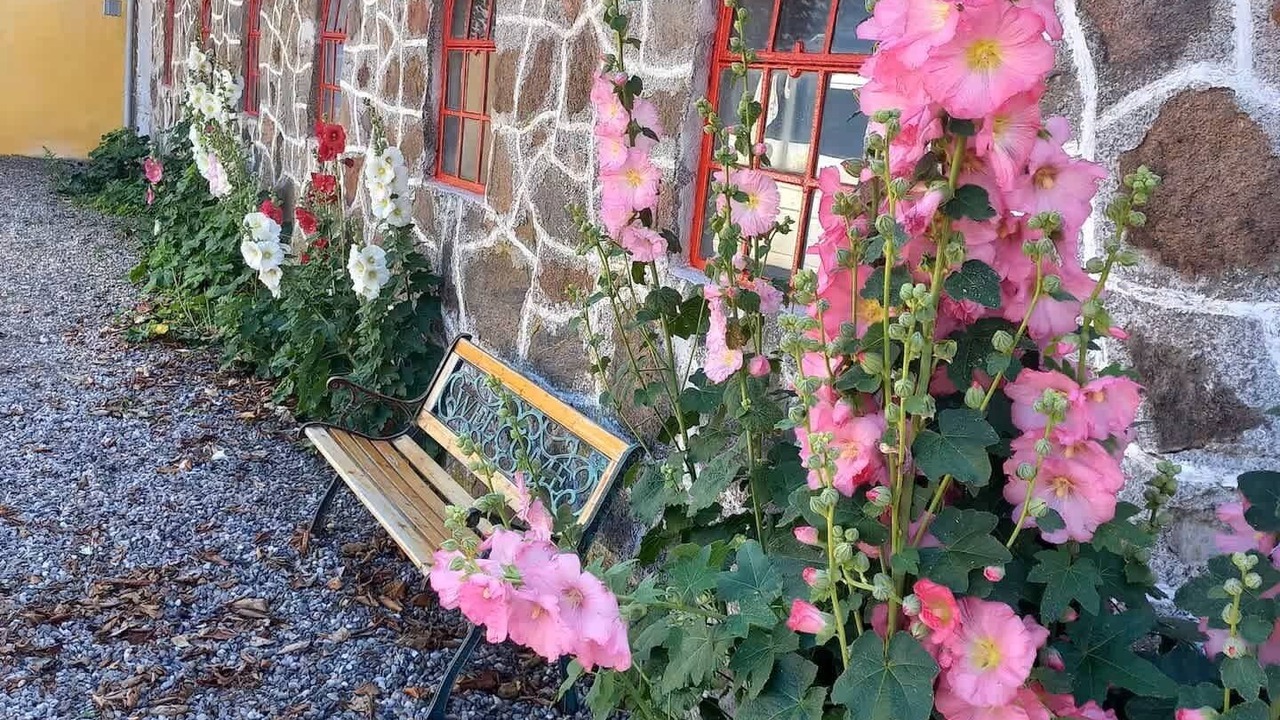 Photo of Outdoor in Vojens