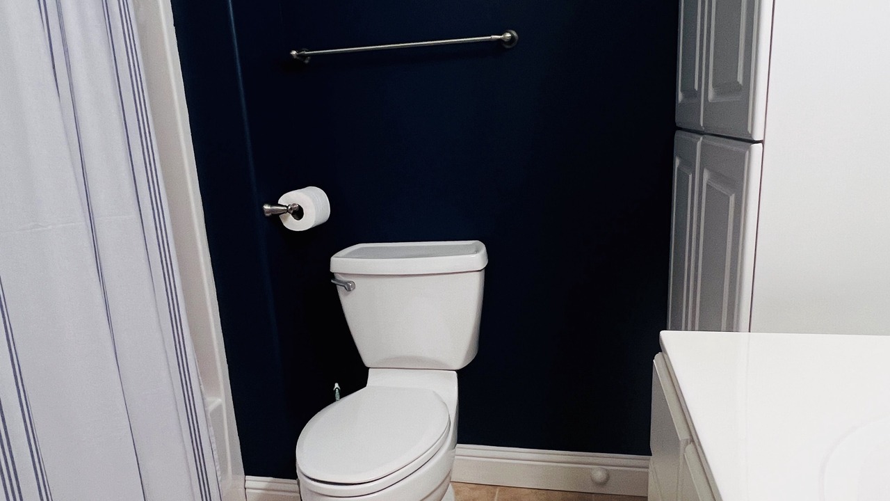 Photo of Bathroom in Roach