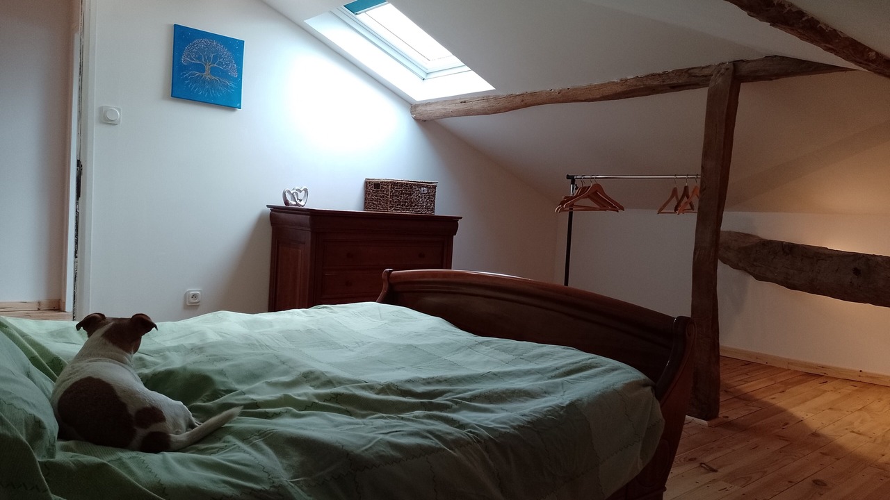 Photo of Bedroom in Esplas