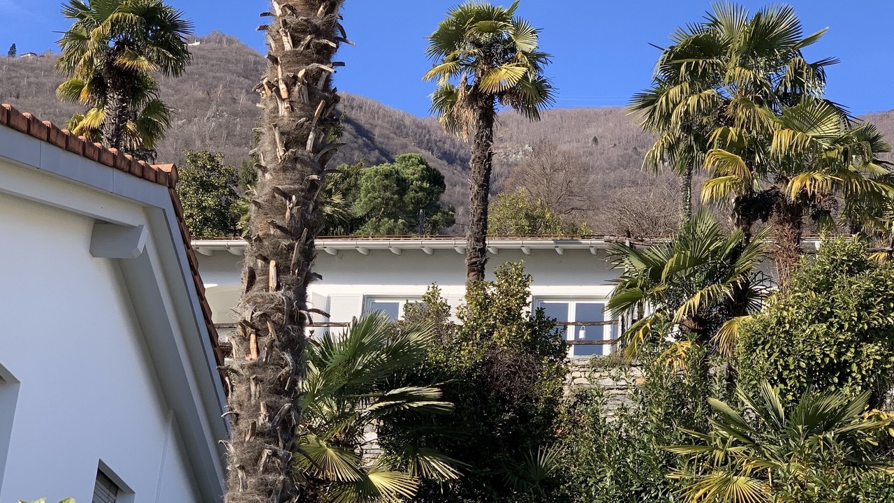 Photo of Outdoor in Orselina