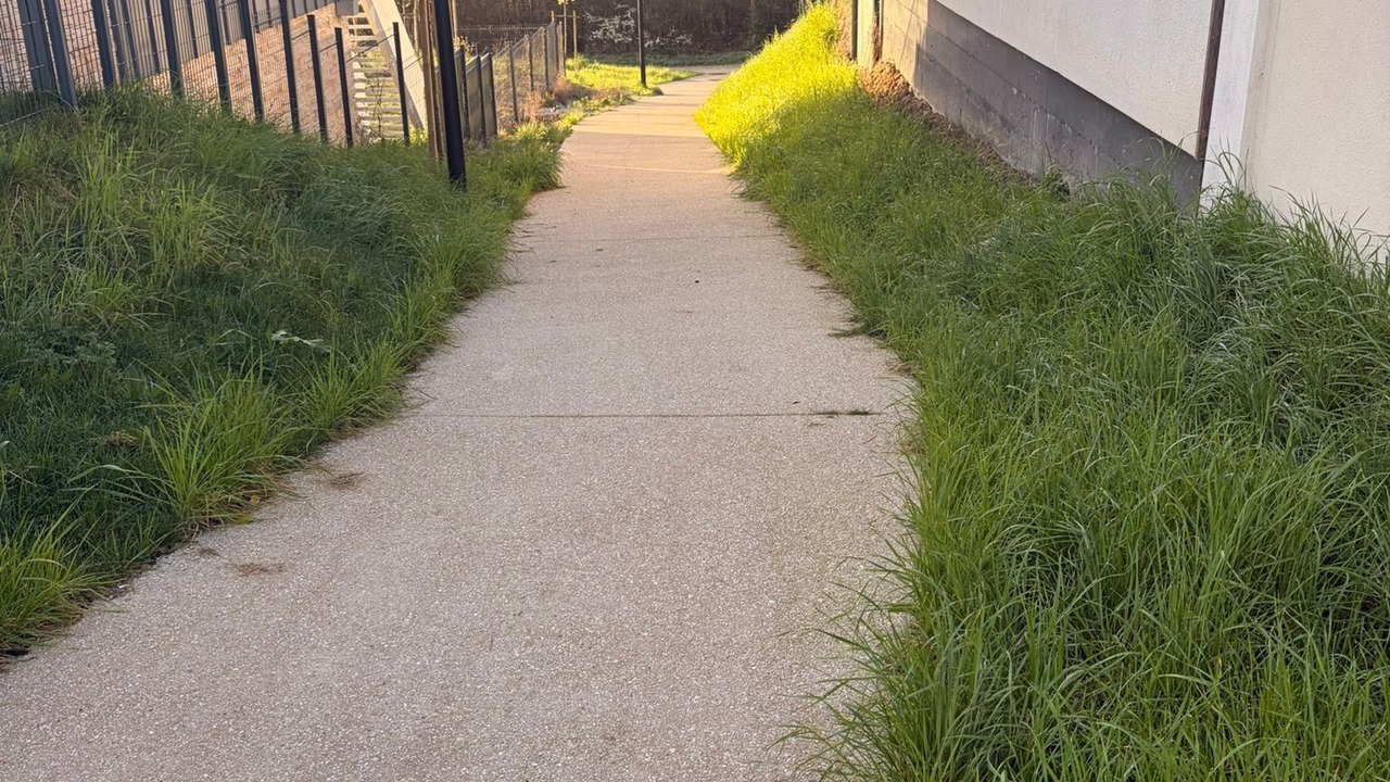 Photo of Outdoor in Magny-le-Hongre