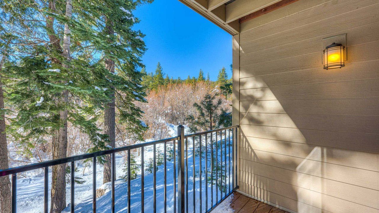 Photo of Outdoor in Carnelian Woods