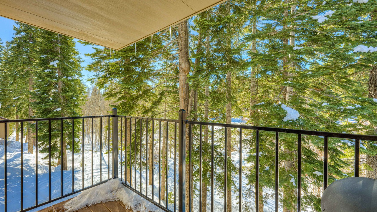 Photo of Outdoor in Carnelian Woods