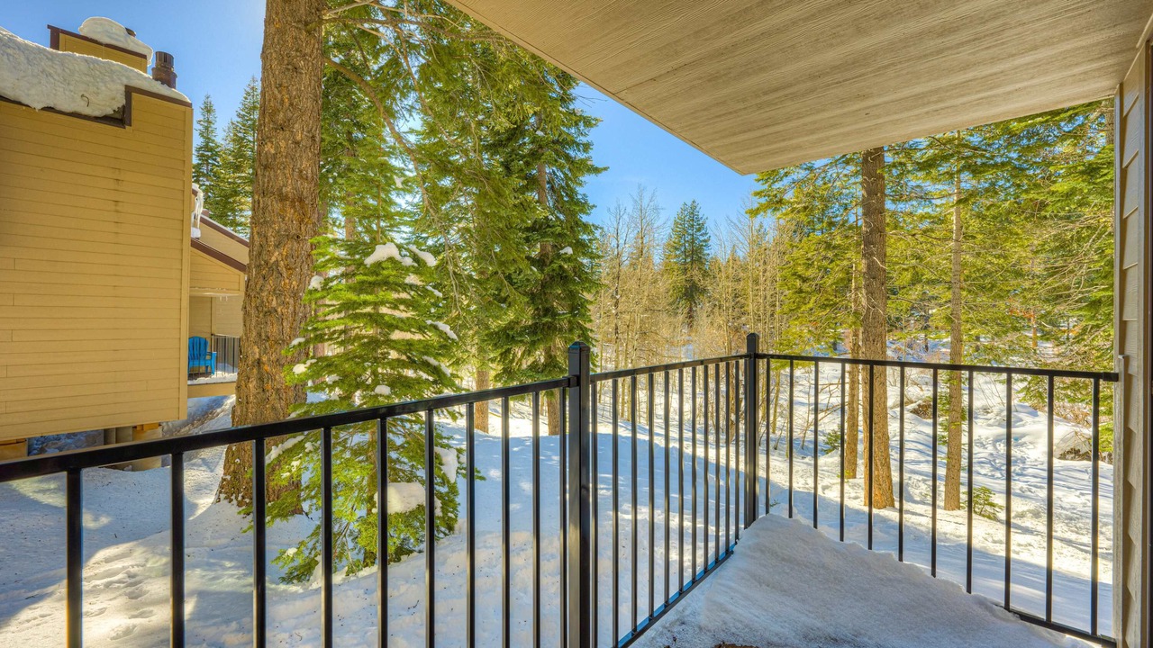 Photo of Outdoor in Carnelian Woods