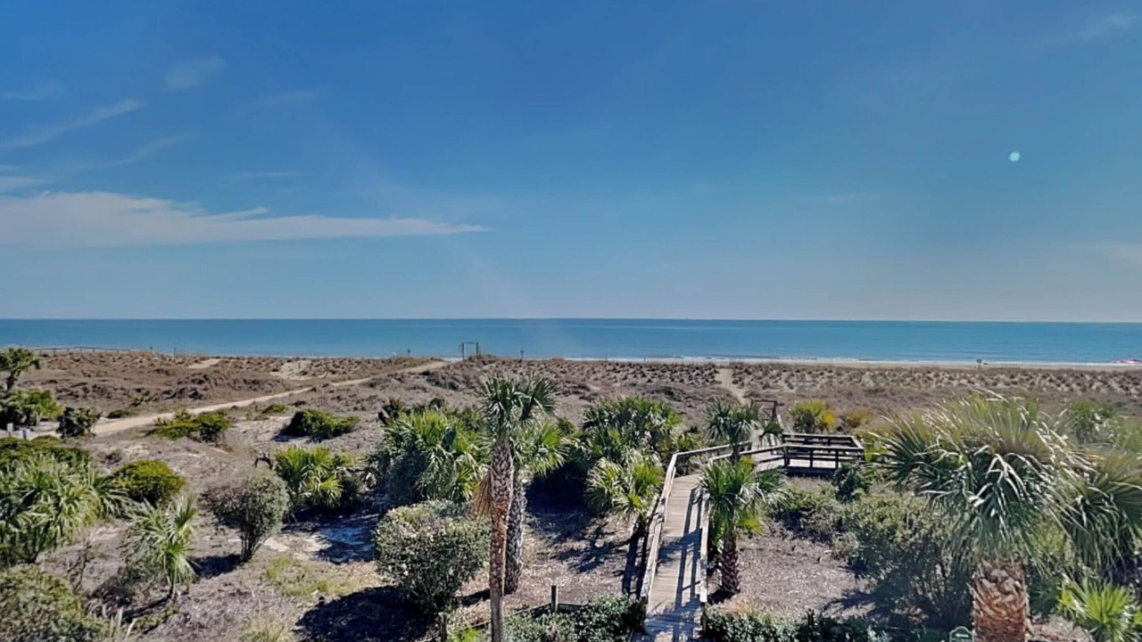 Photo of Others in Tybee Island
