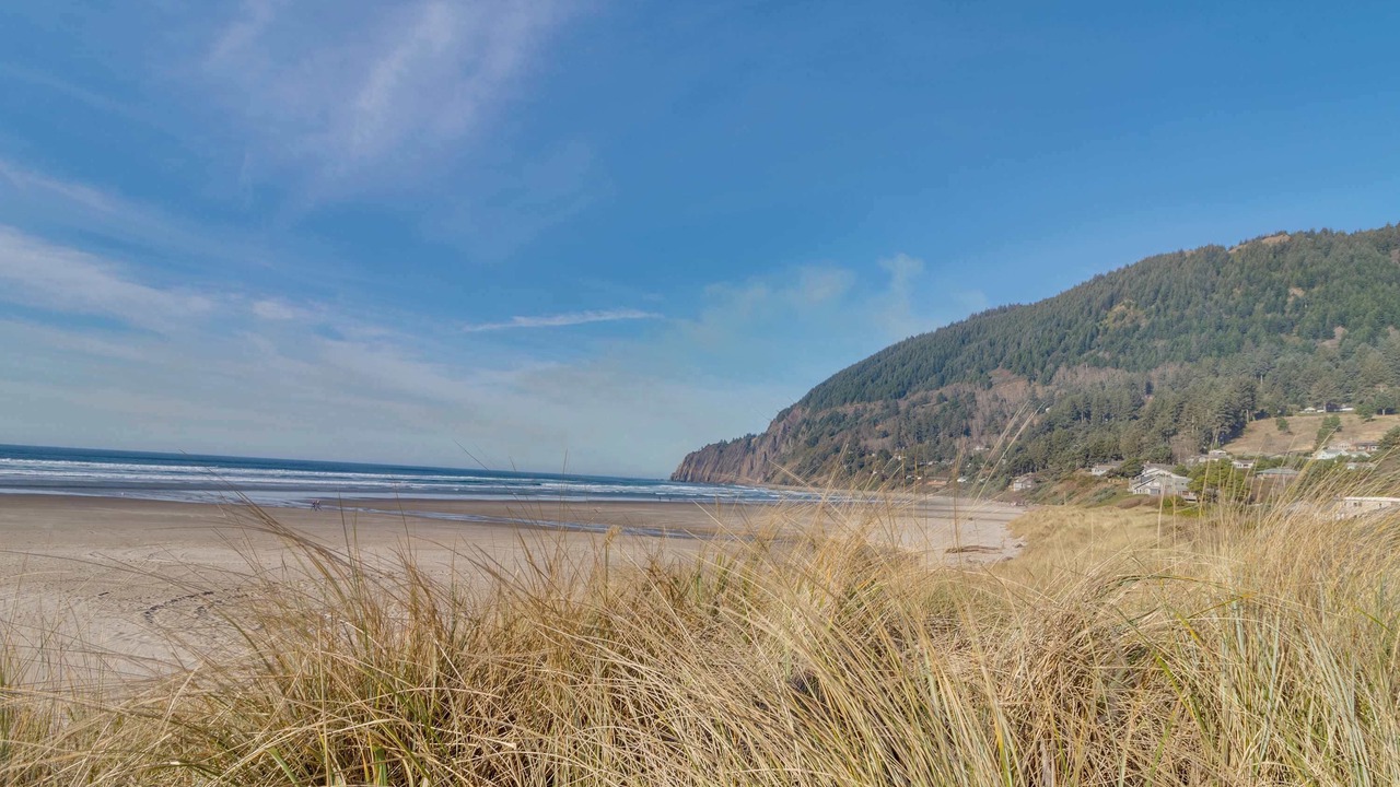 Photo of Others in Manzanita