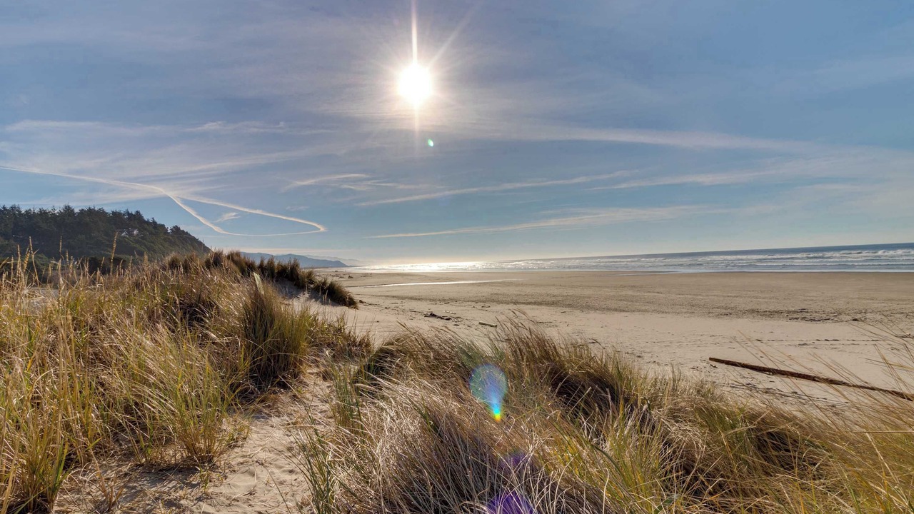 Photo of Others in Manzanita