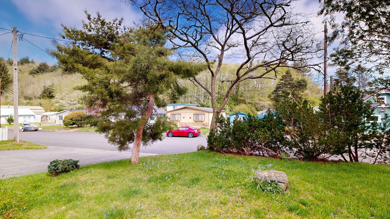 Photo of Outdoor in Winchester Bay