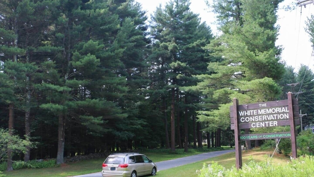 Photo of Others in Lakeside