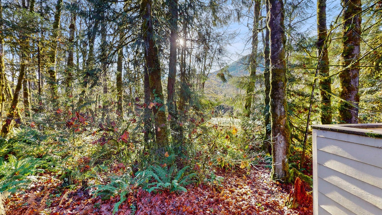 Photo of Outdoor in Welches