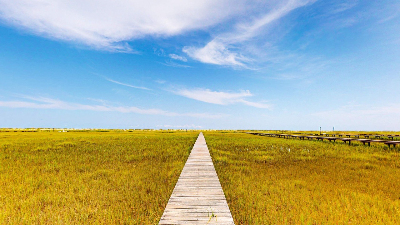 Photo of Others in Edisto Island