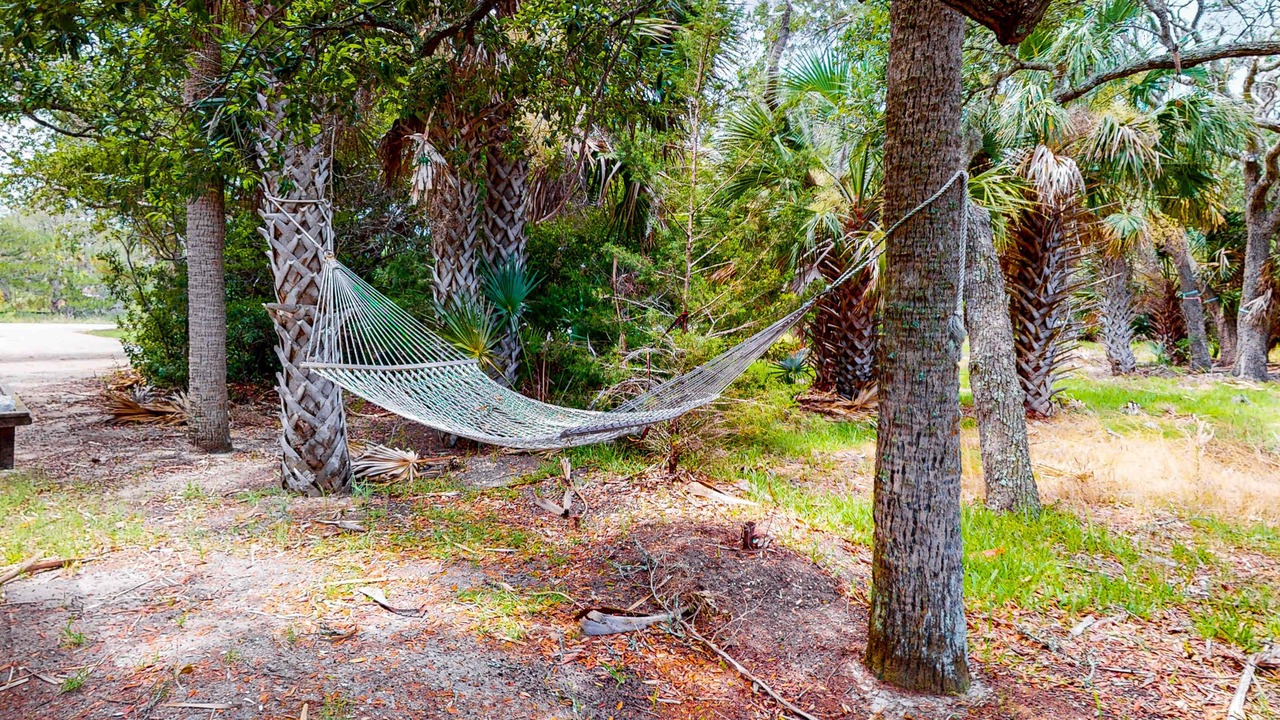 Photo of Outdoor in Edisto Island