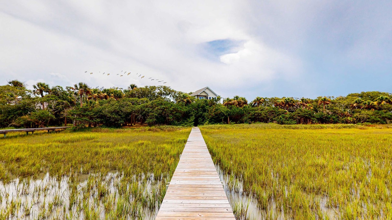 Photo of Others in Edisto Island