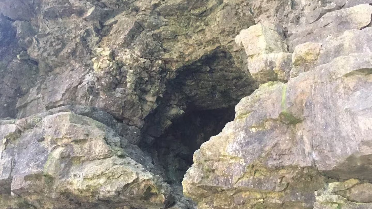 Photo of Others in Elora