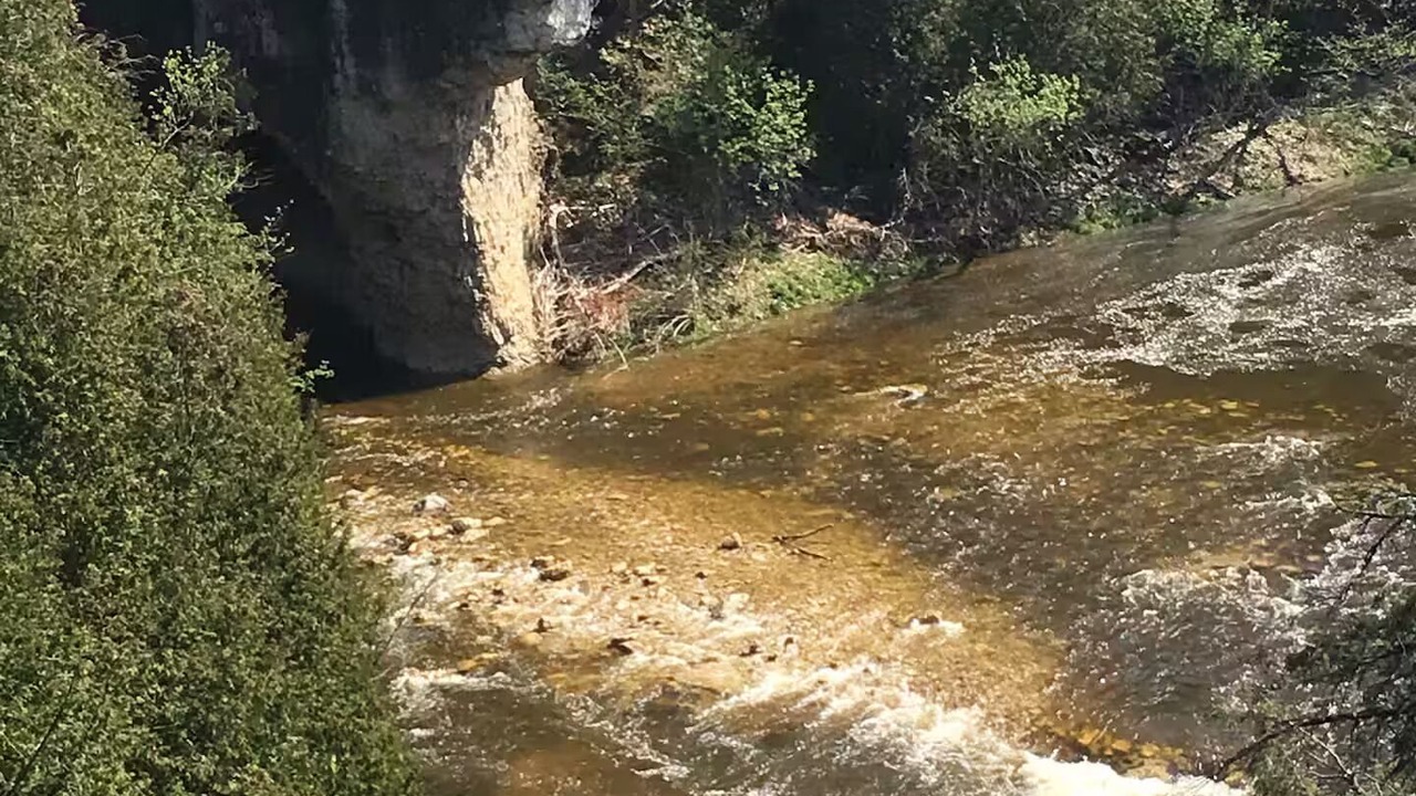 Photo of Others in Elora