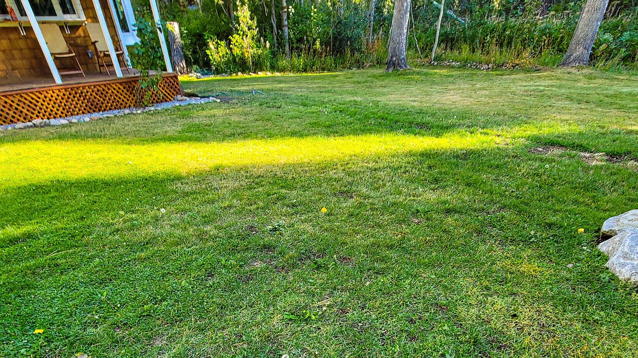 Photo of Outdoor in Tahoe Pines