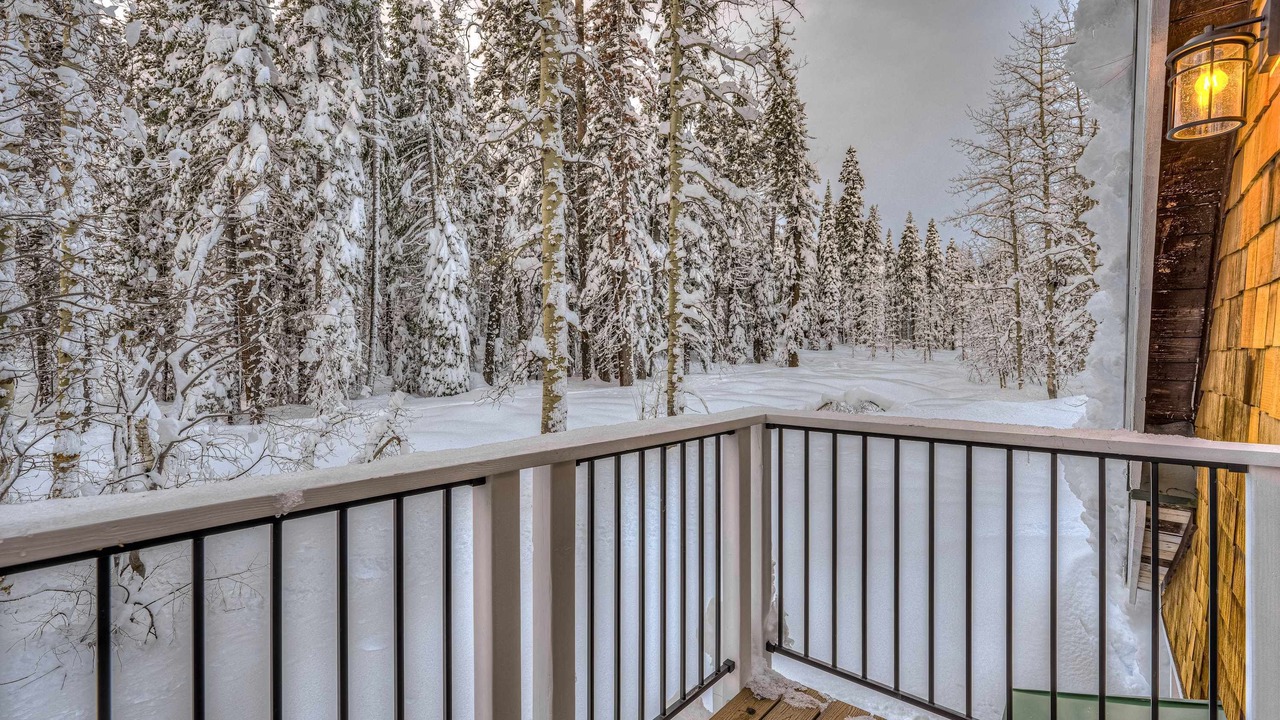 Photo of Outdoor in Tahoe Pines