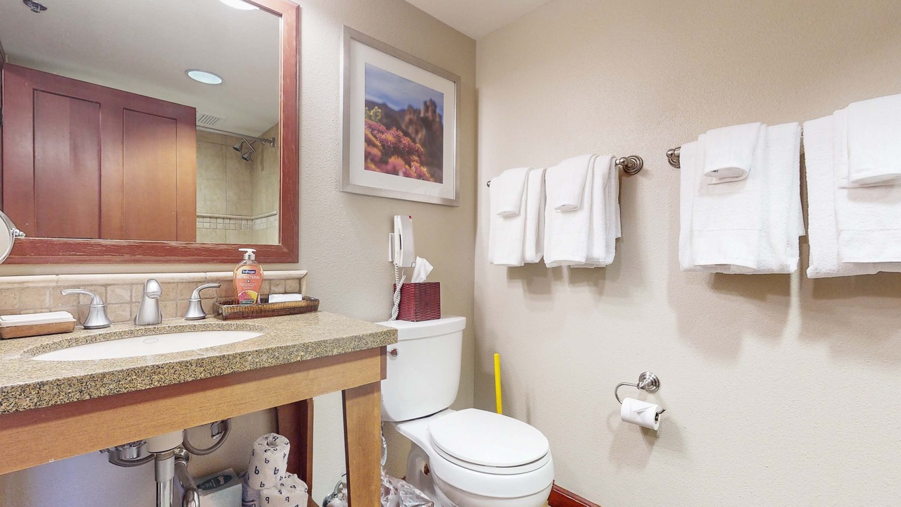 Photo of Bathroom in Olympic Valley