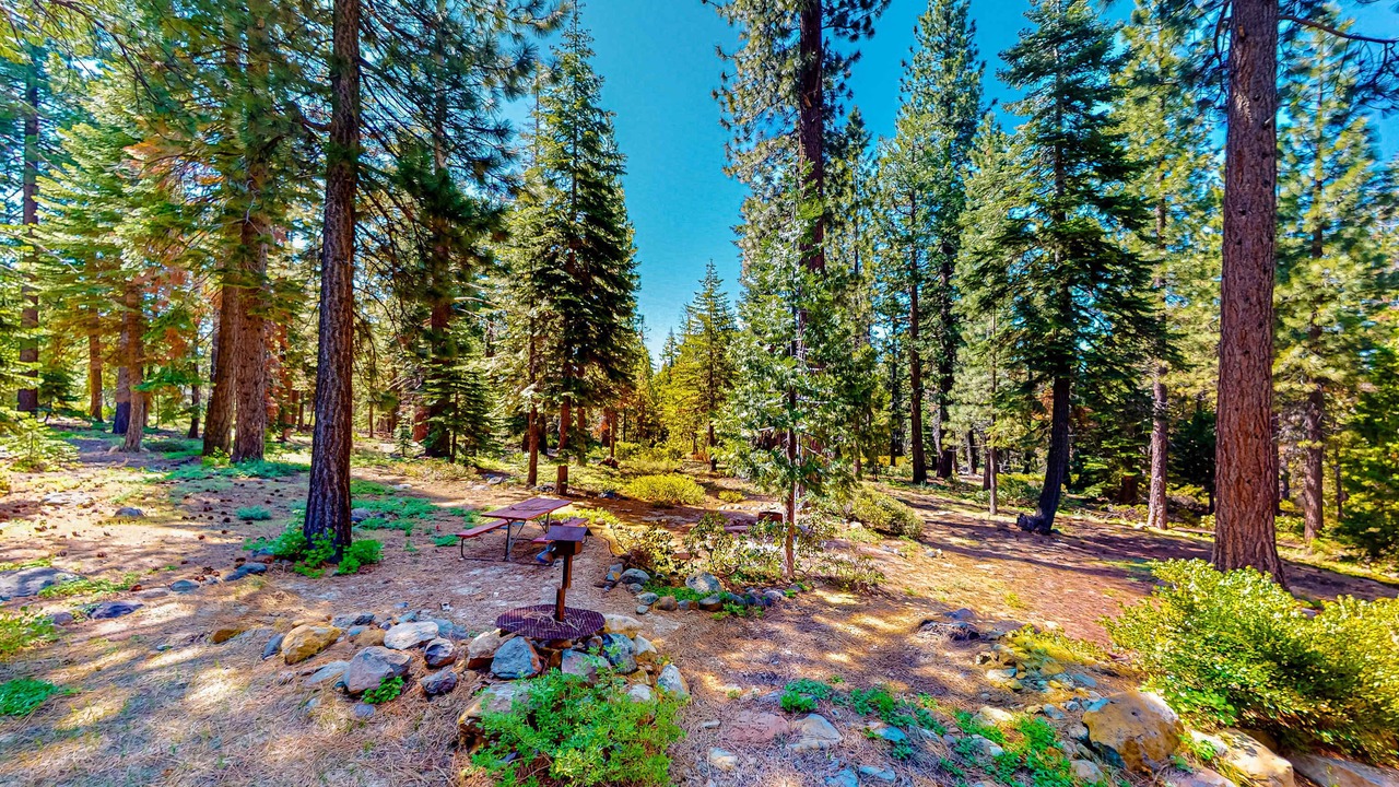 Photo of Outdoor in Kings Beach