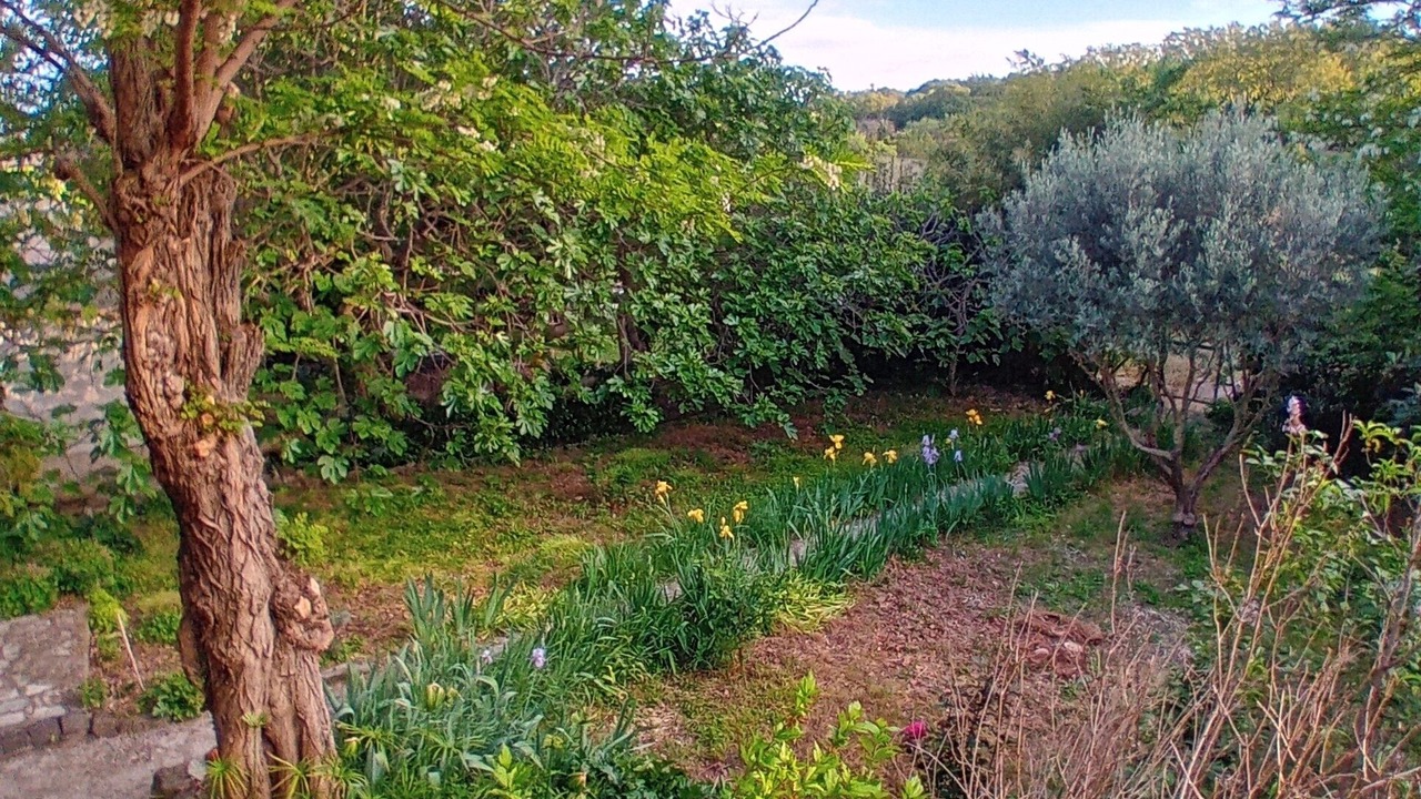 Photo of Outdoor in Nizas