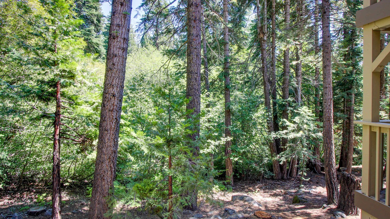Photo of Outdoor in Kings Beach