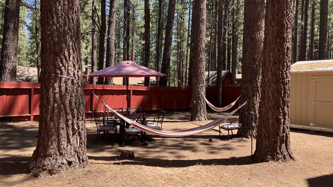 Photo of Outdoor in Black Bart