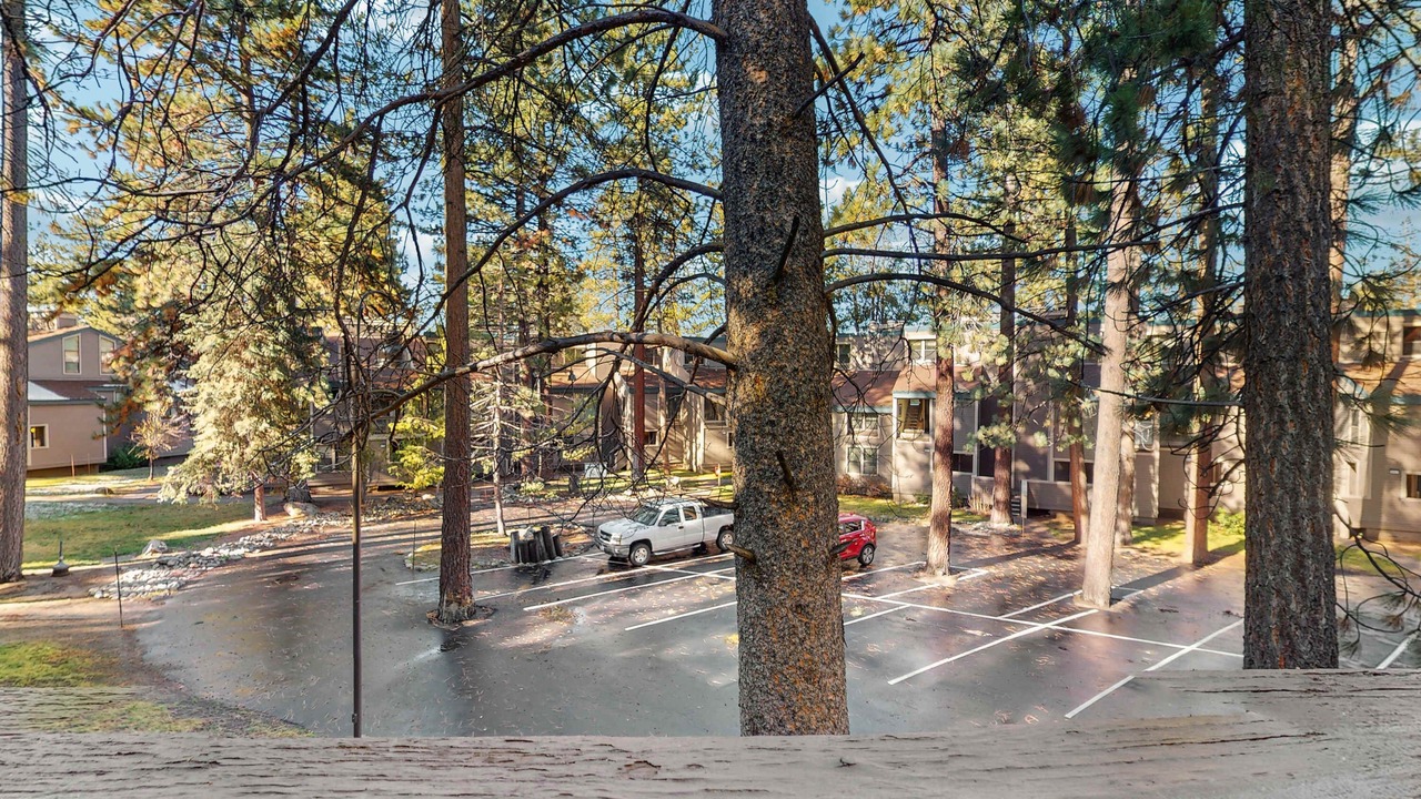 Photo of Outdoor in South Lake Tahoe
