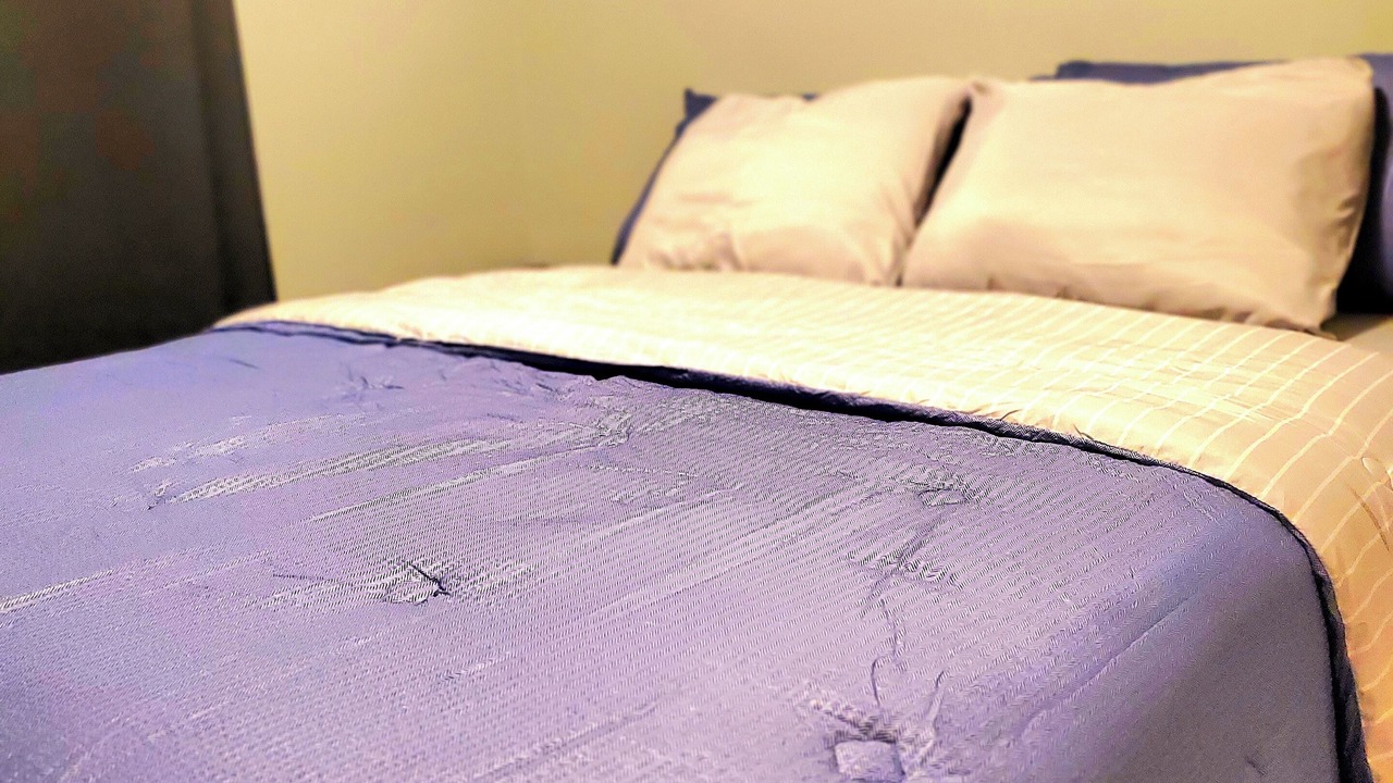 Photo of Bedroom in Bloomington