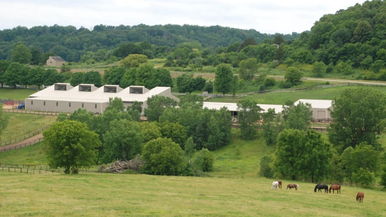 Photo of Others in The Galena Territory