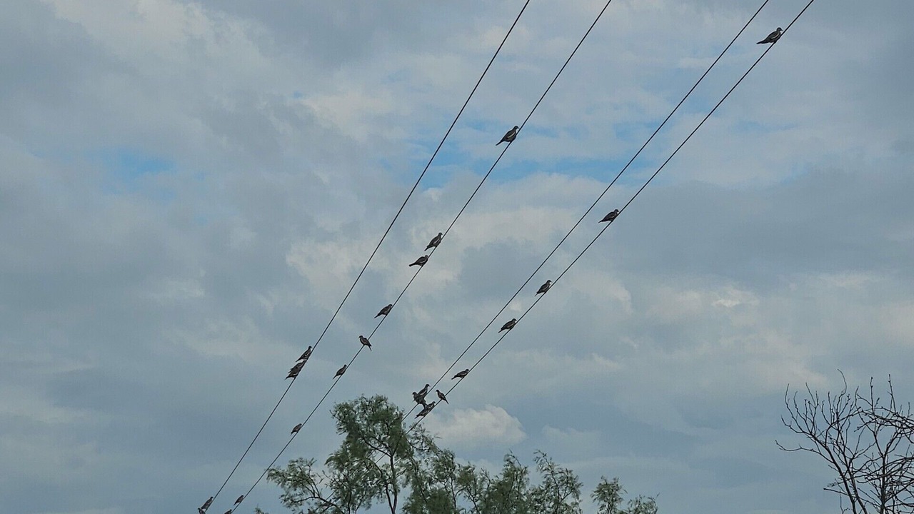 Photo of Others in Santa Anna