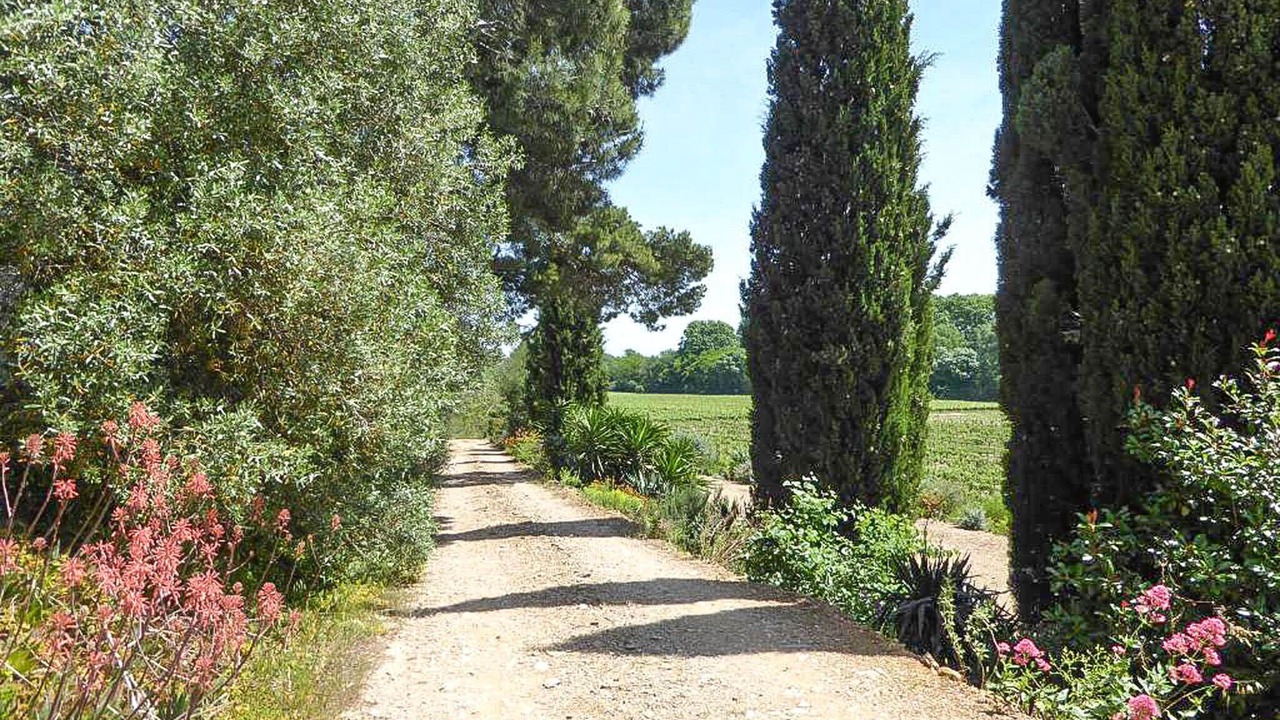 Photo of Others in Salleles-d'Aude