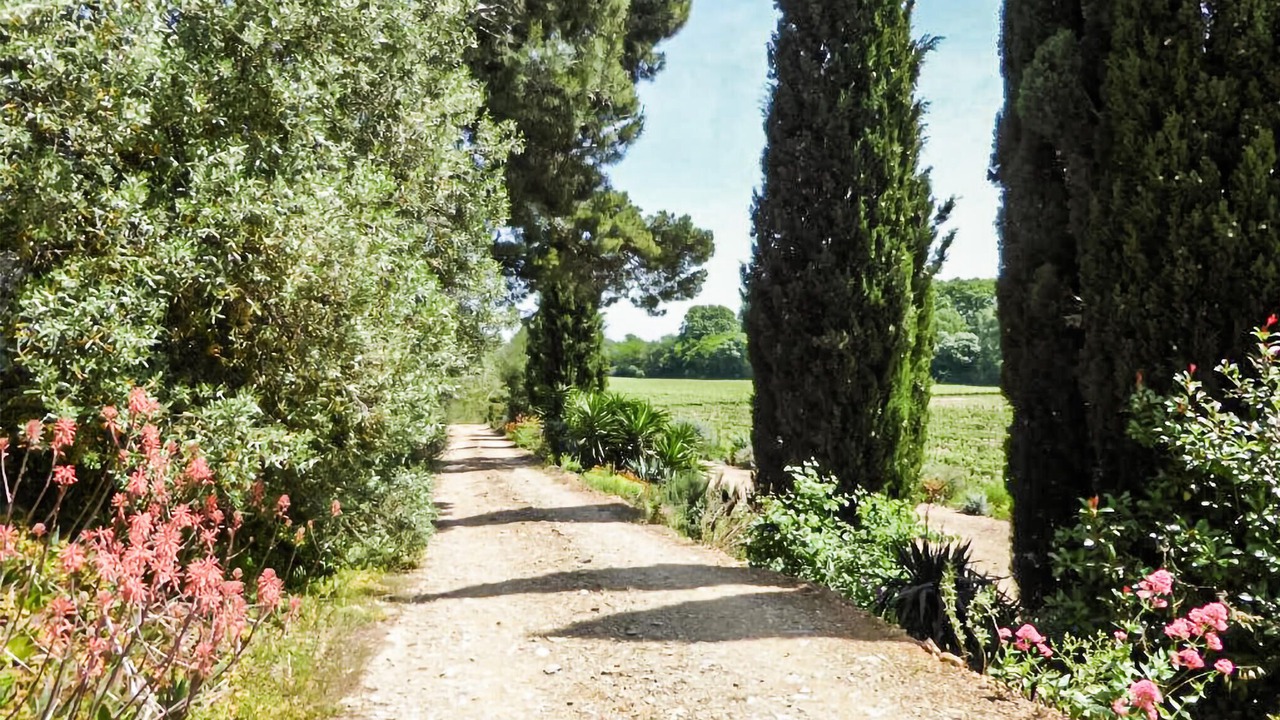 Photo of Others in Salleles-d'Aude