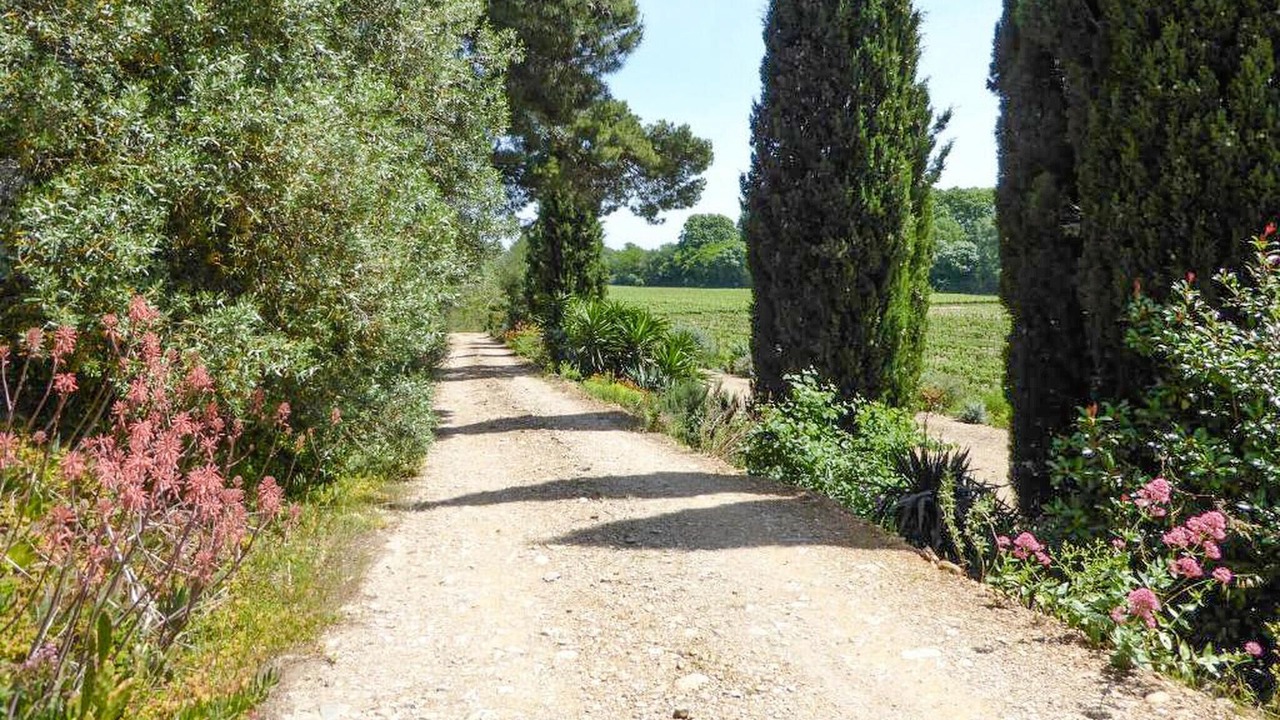 Photo of Others in Salleles-d'Aude