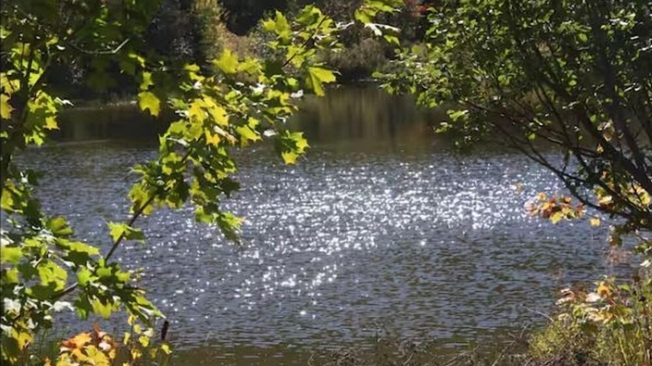 Photo of Others in Mandeville