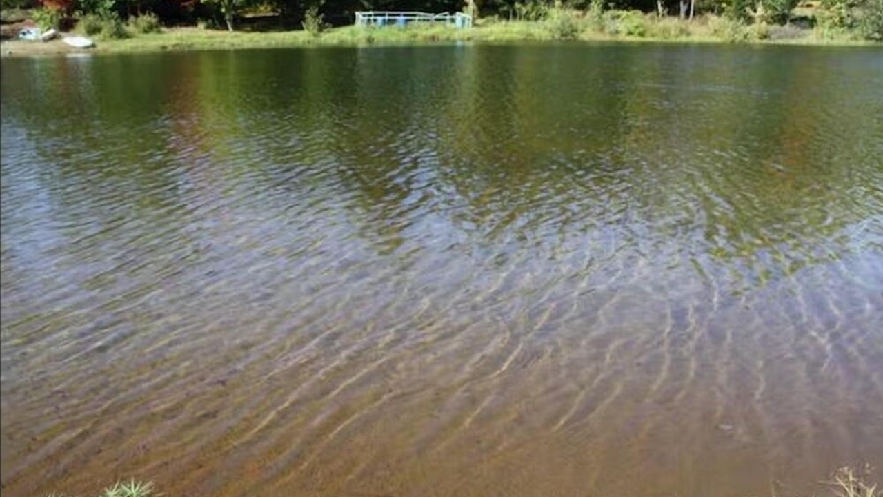 Photo of Others in Mandeville