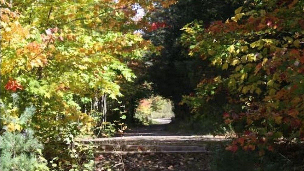Photo of Others in Mandeville