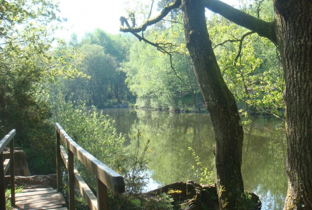 Photo of Others in Plelan-le-Grand