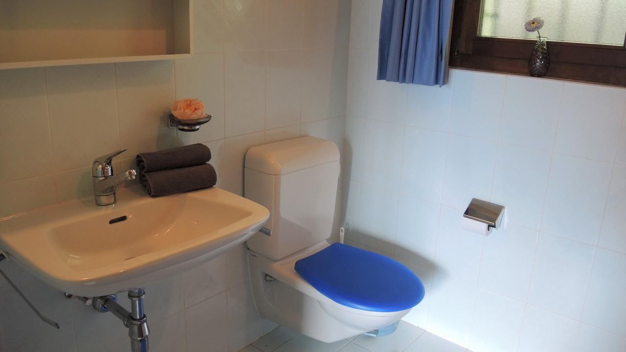 Photo of Bathroom in Gordola
