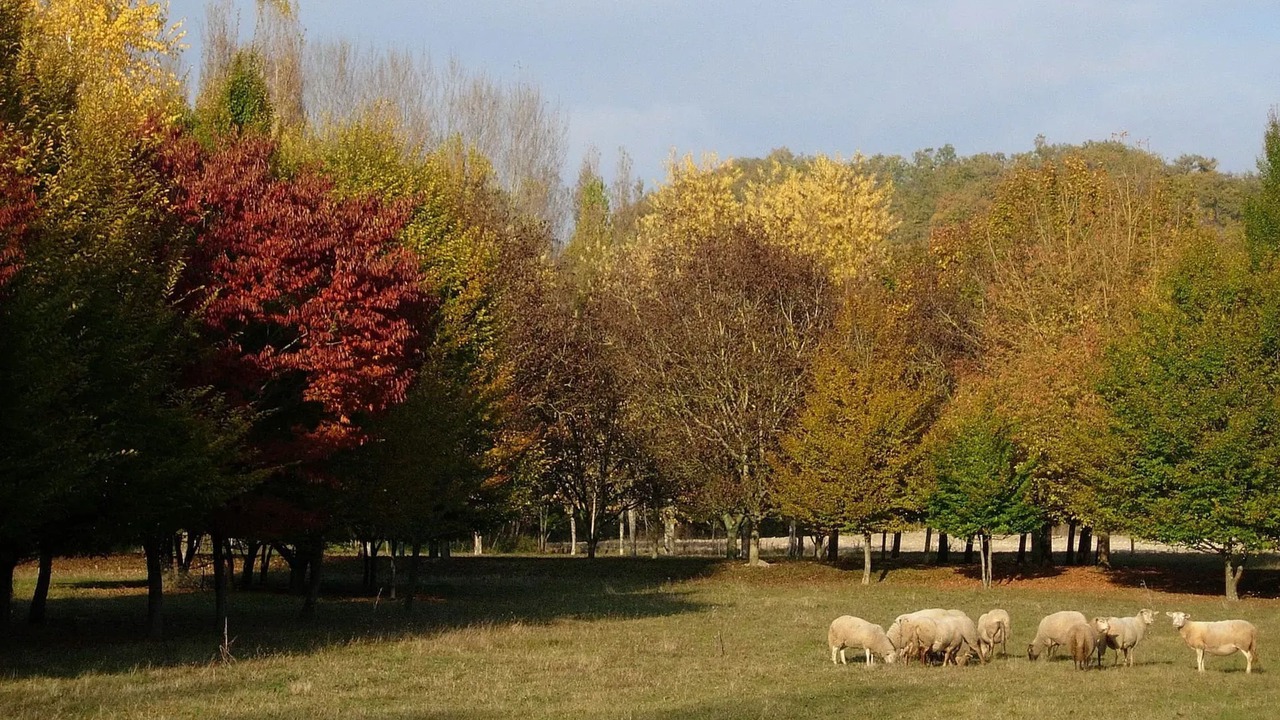 Photo of Others in Montaigu-de-Quercy